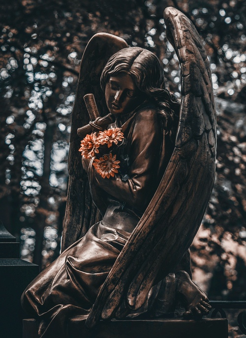 unsplash / Julia Kadel